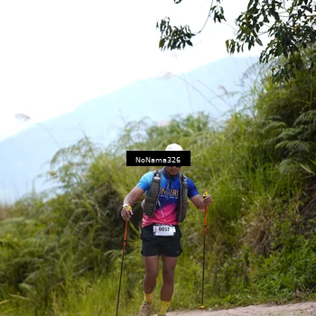 Runner Photo 5490646