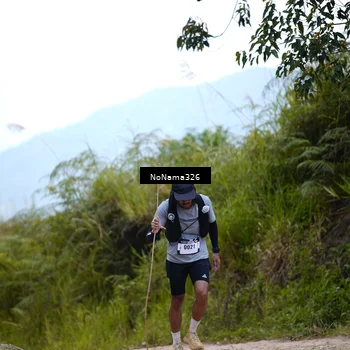 Runner Photo 5490715