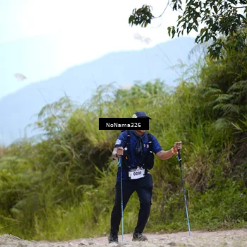 Runner Photo 5490804
