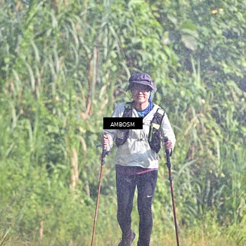 Runner Photo 5491066