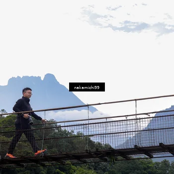 Runner Photo 5491256