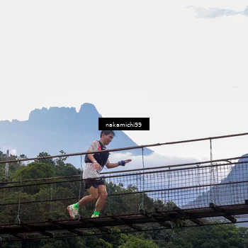 Runner Photo 5491270