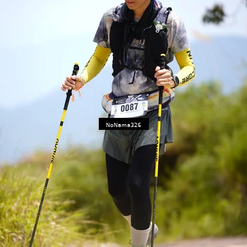 Runner Photo 5491327