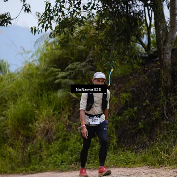 Runner Photo 5491668