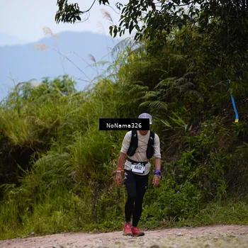 Runner Photo 5491688