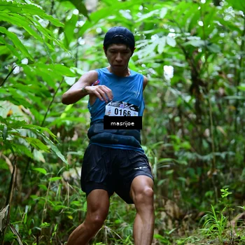 Runner Photo 5492902