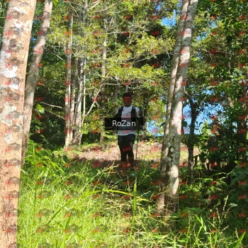 Runner Photo 5493