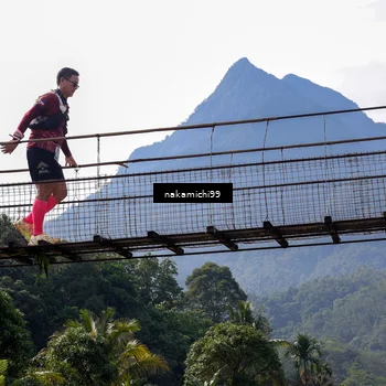 Runner Photo 5495530