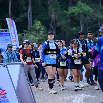 Runner Photo 5496858