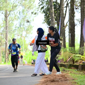 Runner Photo 5497406