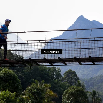 Runner Photo 5498264