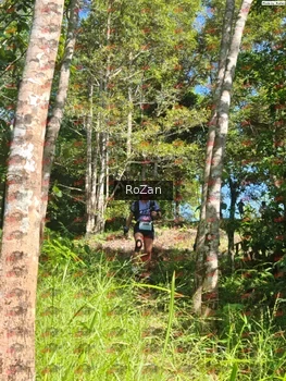 Runner Photo 5499