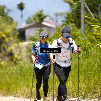 Runner Photo 5499211