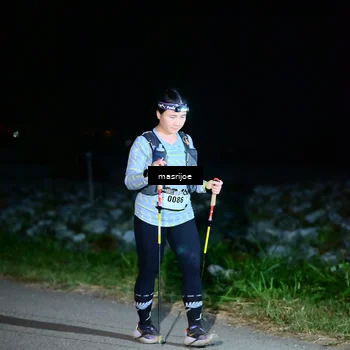 Runner Photo 5499341