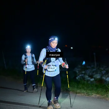 Runner Photo 5499417