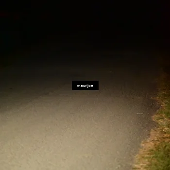 Runner Photo 5499440