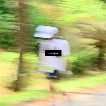 Runner Photo 5499450