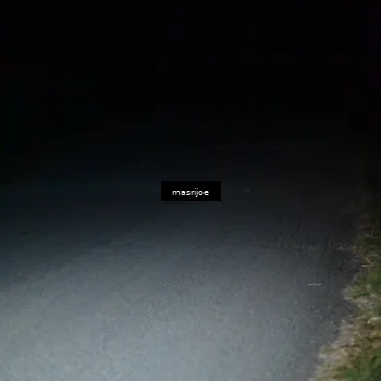 Runner Photo 5499516
