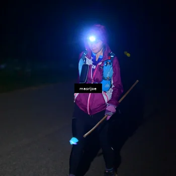 Runner Photo 5499546