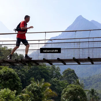 Runner Photo 5501320