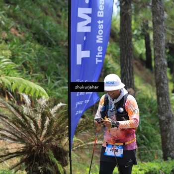 Runner Photo 5501467
