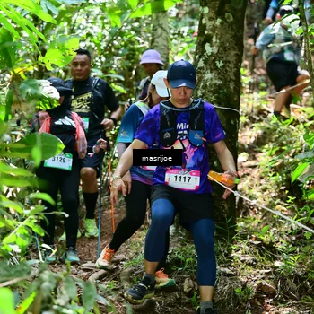 Runner Photo 5502431