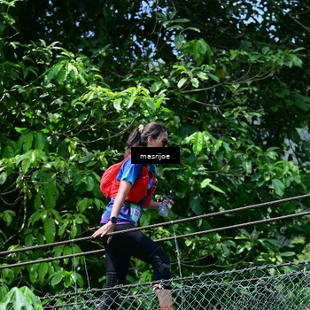 Runner Photo 5502753