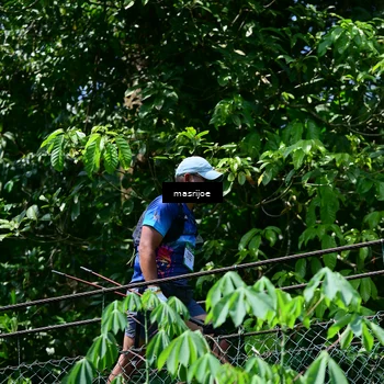 Runner Photo 5502815