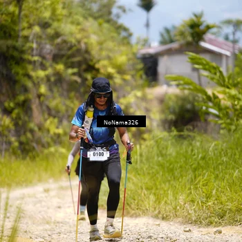 Runner Photo 5502881