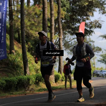 Runner Photo 5503042
