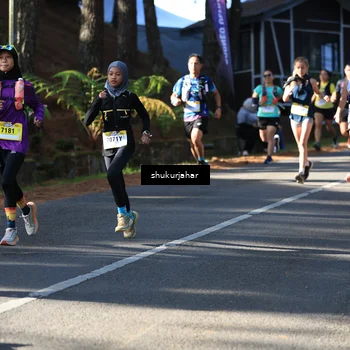 Runner Photo 5503293