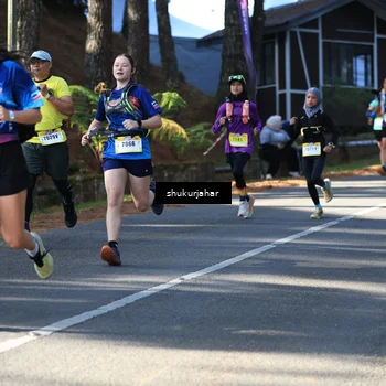 Runner Photo 5503297