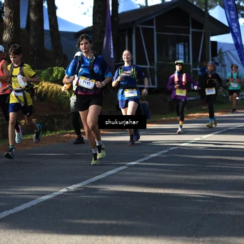 Runner Photo 5503301