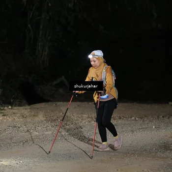 Runner Photo 5503711