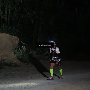 Runner Photo 5504079