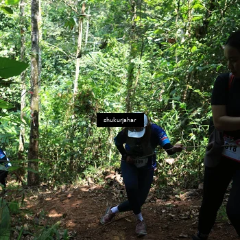 Runner Photo 5504515