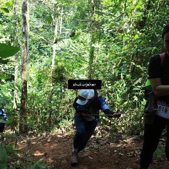 Runner Photo 5504517