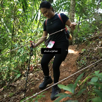 Runner Photo 5504523