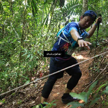 Runner Photo 5504586
