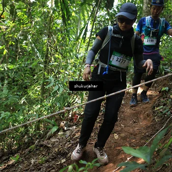 Runner Photo 5504590