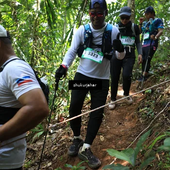Runner Photo 5504600