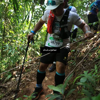 Runner Photo 5504604
