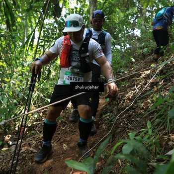 Runner Photo 5504611