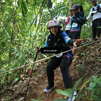 Runner Photo 5504623