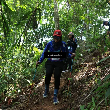 Runner Photo 5504654