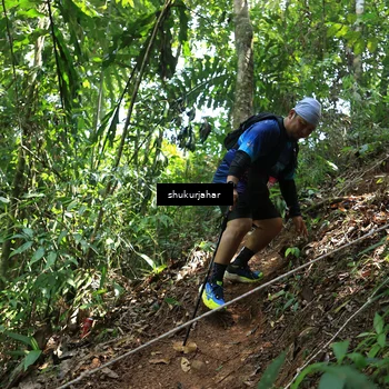 Runner Photo 5504663