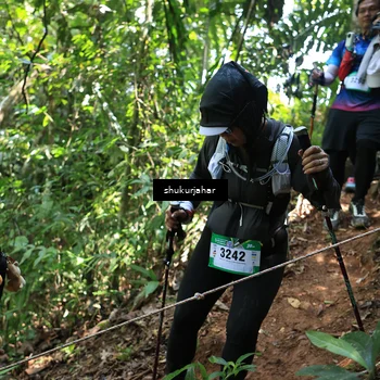 Runner Photo 5504682