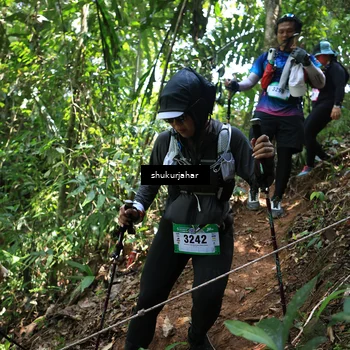 Runner Photo 5504687