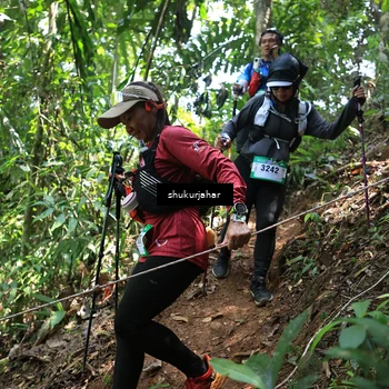 Runner Photo 5504689