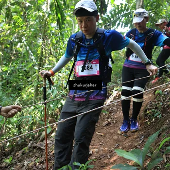 Runner Photo 5504704